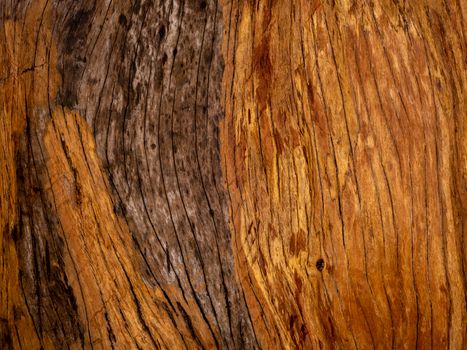 Brown wood texture. Abstract for background, empty template
