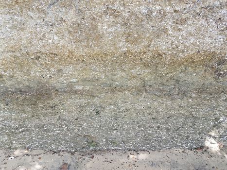 dirt wall at beach or coast with white shells