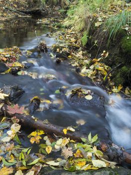 Long exposure magic forest stream cascade creek in autumn with stones ferns and fallen leaves and trees in luzicke hory mountain in czech republic.