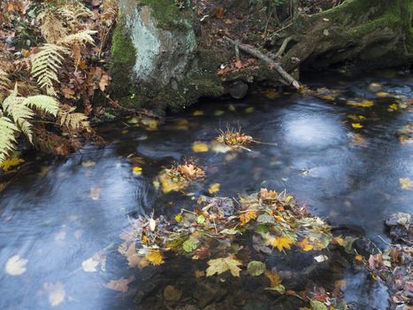 Long exposure magic forest stream creek in autumn with stones, moss, ferns and colorful fallen leaves and trees in luzicke hory lusitian mountain in czech republic.