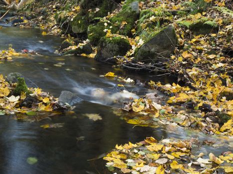 Long exposure magic forest stream cascade creek in autumn with stones ferns and fallen leaves and trees in luzicke hory mountain in czech republic.