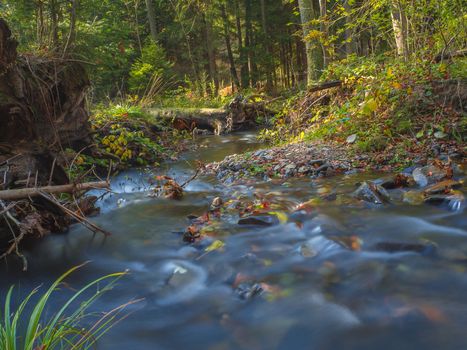 Long exposure magic forest stream creek in autumn with stones moss ferns and fallen leaves and trees in luzicke hory mountain in czech republic