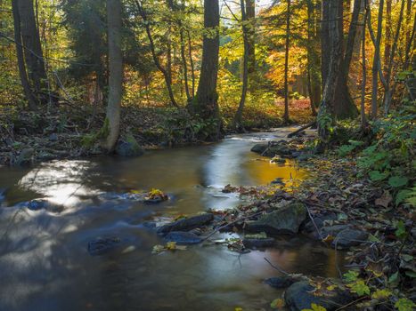 Long exposure magic forest stream creek in autumn with stones moss ferns and fallen leaves and trees in luzicke hory mountain in czech republic