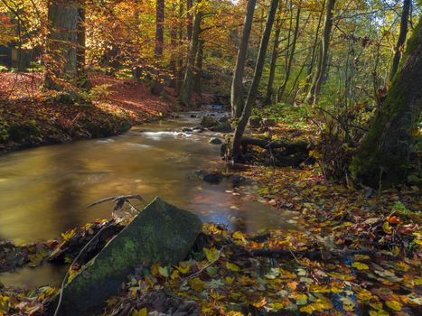Long exposure magic forest stream creek in autumn with stones moss ferns and fallen leaves and trees in luzicke hory mountain in czech republic