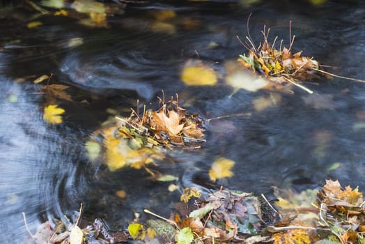 Colorful fallen autumnal leaves in long exposure water of forest stream creek in autumn with stones and moss. Luzicke hory lusitian mountain in czech republic.