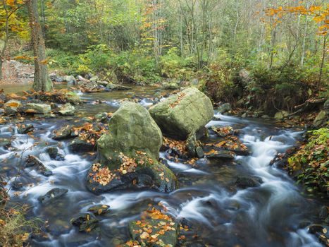 Long exposure magic forest stream cascade creek in autumn with stones ferns and fallen leaves and trees in luzicke hory mountain in czech republic