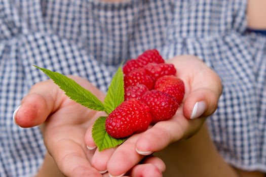 Woman hands holding fresh red raspberries. Soft focus.