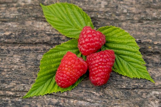 Ripe aromatic raspberries on a wooden background. Closeup.