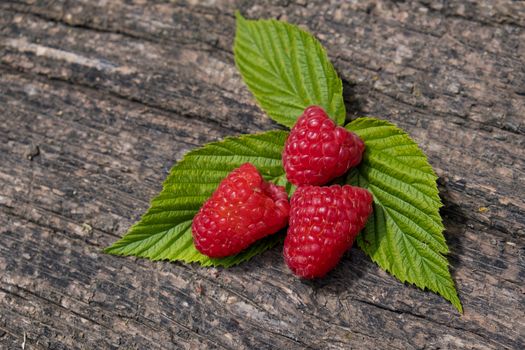 Ripe aromatic raspberries on a wooden background.