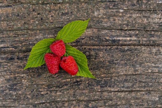 Ripe aromatic raspberries on a wooden background.