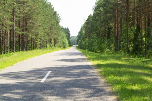 Empty summer road, forest landscape in Belarus