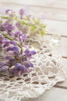 Purple lupin flowers with vintage lace on white background. Lupinus, lupine. Tender card, vertical image