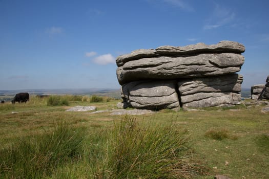  Traditional rural and moor landscape with trees, bracken and stones. High quality photo