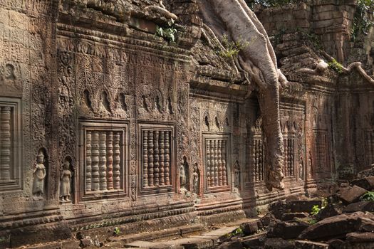 The jungle and trees had engulfed the temple complex of Angkor Watt, Cambodia, with the famous temples of Angkor, Ta Prohm and Bayon. revealed in the 18th century again . The temples numbering more than a thousand are part of the largest religious site anywhere. The tree roots are iconic of the temples and popularised Ta Prohm in the film Tomb Raider. 