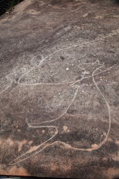 Dharawal etchings or petroglyphs, Bundeena NSW Australia. A rock etching of a man and kangaroo, ancient Aboriginal rock platform carvings