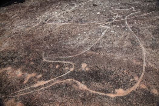 Dharawal etchings or petroglyphs, Bundeena NSW Australia. A rock etching of a kangaroo, ancient Aboriginal rock platform carvings