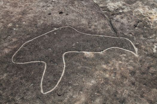 Dharawal etchings or petroglyphs, Bundeena NSW Australia. A rock etching of a bird, ancient Aboriginal rock platform carvings