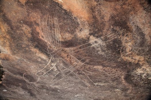 Dharawal etchings or petroglyphs, Bundeena NSW Australia. A rock etching of a man, ancient Aboriginal rock platform carvings