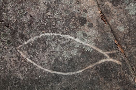 Dharawal etchings or petroglyphs, Bundeena NSW Australia. A rock etching of a fish, ancient Aboriginal rock platform carvings