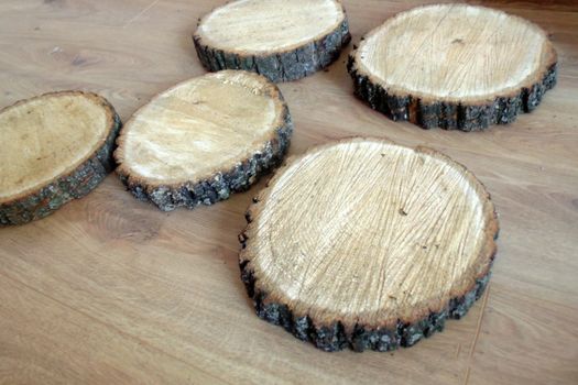 birch and coniferous round cuts on a wooden table close up