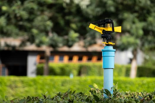 water pipe springer in garden, Agricultural farm, watering plants.