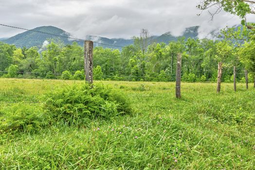 Horizontal shot of a beautiful Smoky Mountain Cloudy Morning looking across a green field toward the mountains.