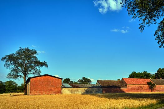 Rural landscape with arable fields and farm buildings in summer in Poland