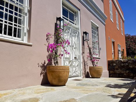 Flowers on a beautiful African terrace in Bo-Kaap, Schotsche Kloof.