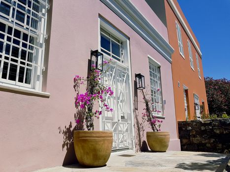 Flowers on a beautiful African terrace in Bo-Kaap, Schotsche Kloof.