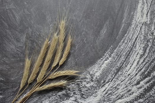 Ears of wheat and flour on a gray background. Top view, grain. Ripe wheat. For baking bread. High quality photo