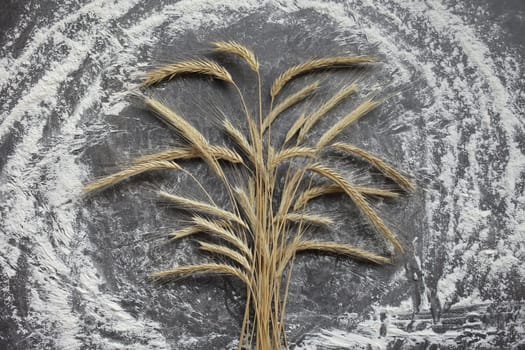 Ears of wheat and flour on a gray background. Top view, grain. Ripe wheat. For baking bread. High quality photo