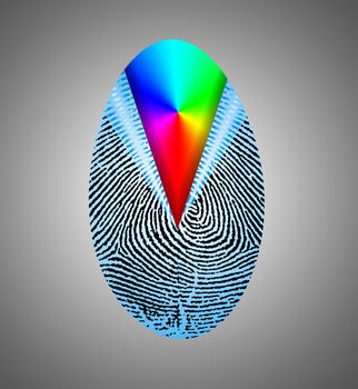 Rainbow Fingerprint Composition