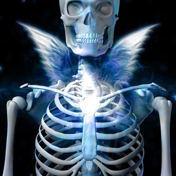 Shining skeleton with wings