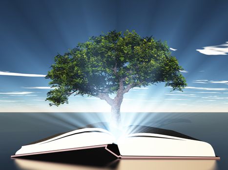 Book with green tree and shining light