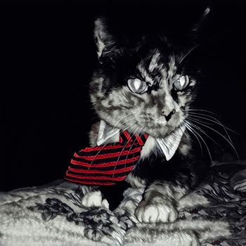 Modern art. Cat in tie.