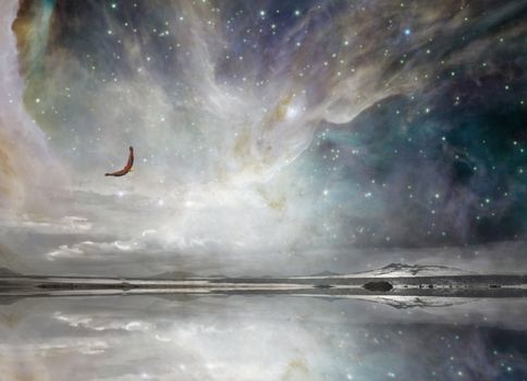 New Mexico Eagle in Night Sky