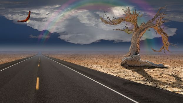 Road in the desert. Old tree a side. Eagle in the sky