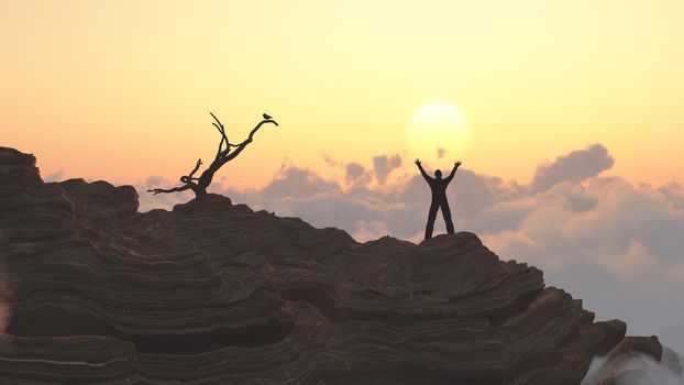 Man on a mountain peak. Bird on a dry branch.