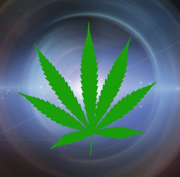 Marijuana green leaf on space background