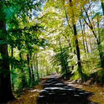 Oil painting. Autumn forest.