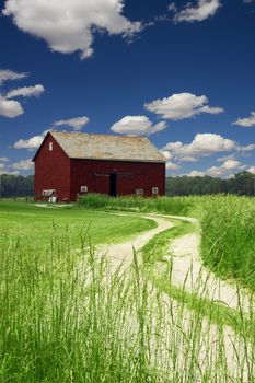 Red Barn in field of wheat