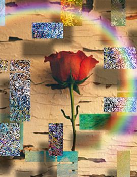 Modern art. Red rose on abstract background.
