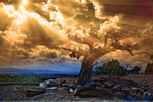Light streams into rocky desert scene