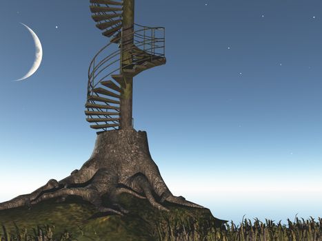 Surreal art. Tree is circular stairs