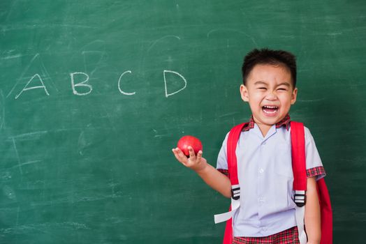 Back to School. Happy Asian funny cute little child boy from kindergarten in student uniform with school bag hold red apple on hand smiling on green school blackboard, First time to school education