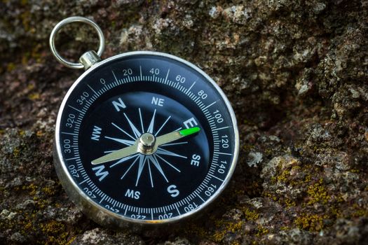 Compass placed on the rock in forest. Closeup and copy space. Concept of jungle adventure travel.