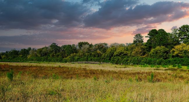 Distant Footbridge Across a Wetland Marsh