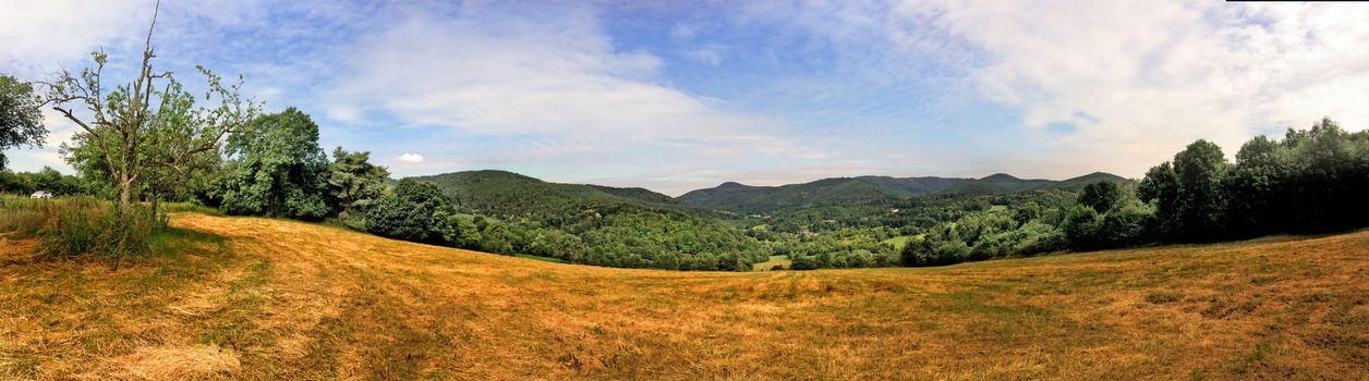 Panoramic view in Alsace