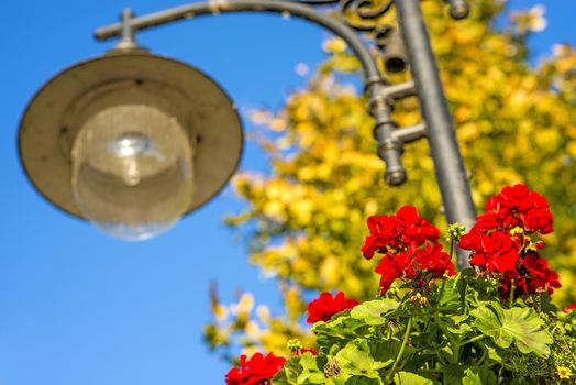 street lantern with red flowers