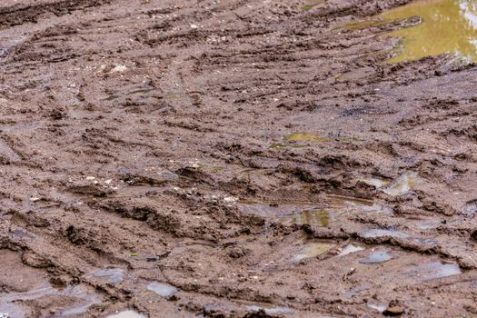 dirty clay mud road with puddles and tire tracks - closeup with selective focus and field blur